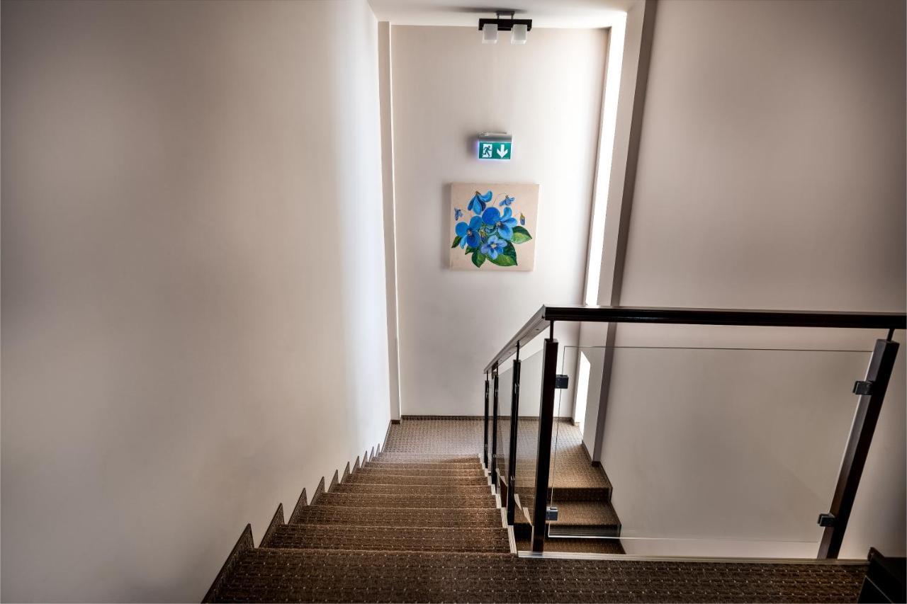 Pensiunea Violeta Giroc Exteriér fotografie